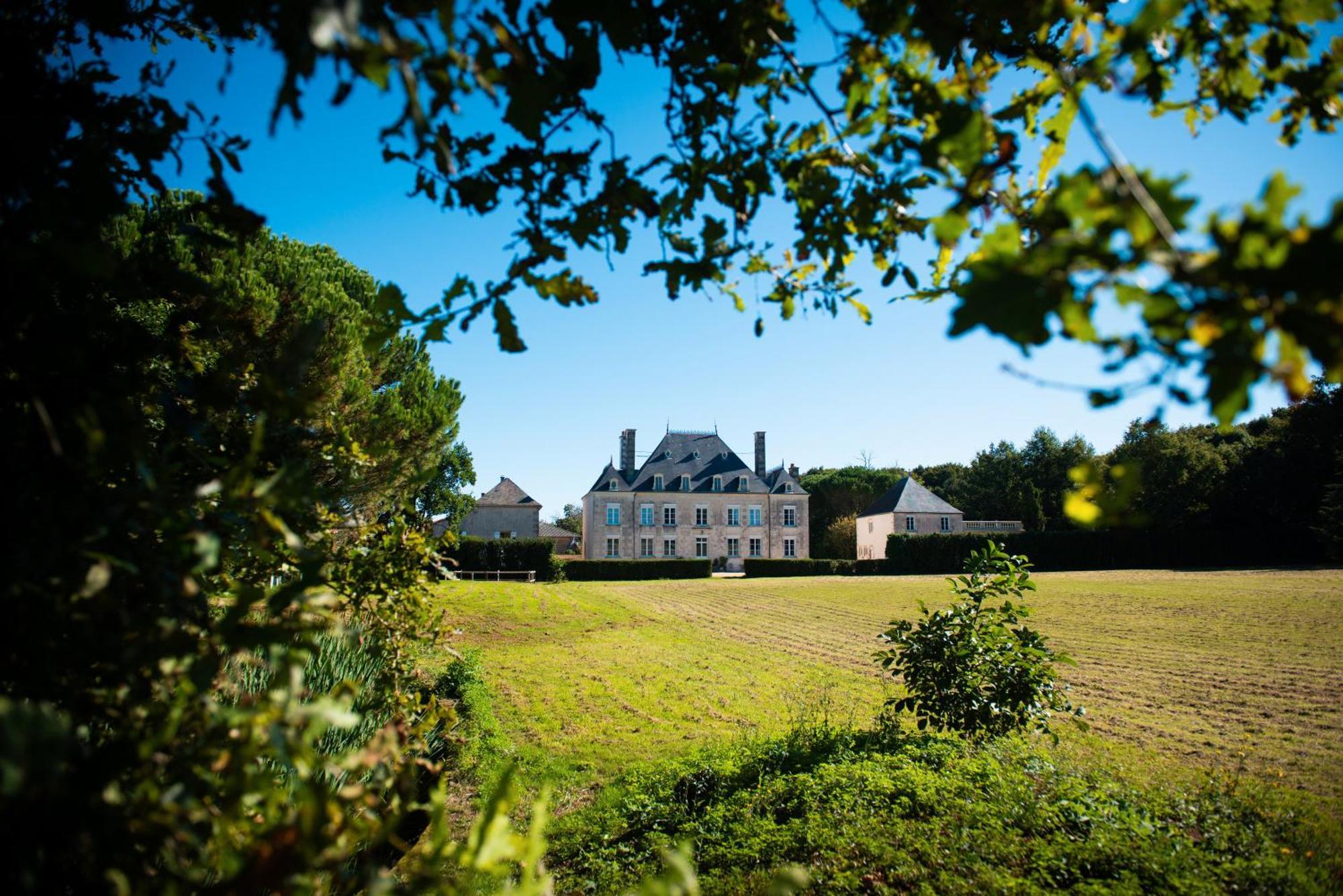Domaine De La Briouse Bed & Breakfast Sanxay Exterior photo
