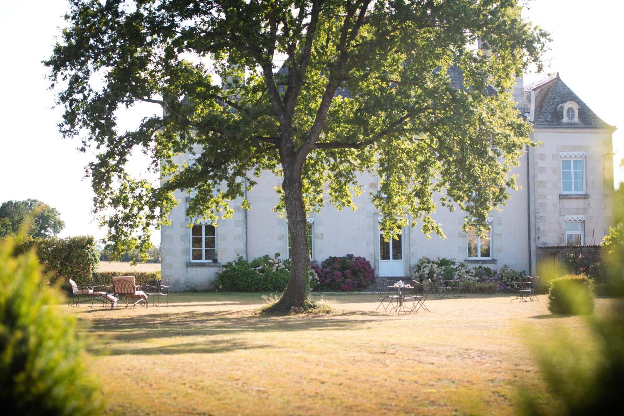 Domaine De La Briouse Bed & Breakfast Sanxay Exterior photo