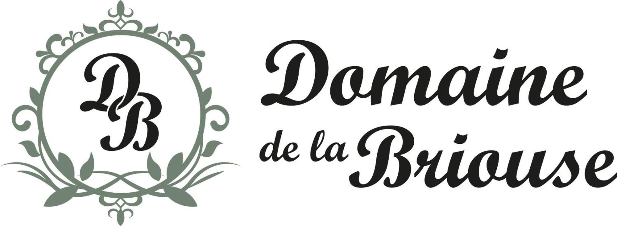 Domaine De La Briouse Bed & Breakfast Sanxay Exterior photo