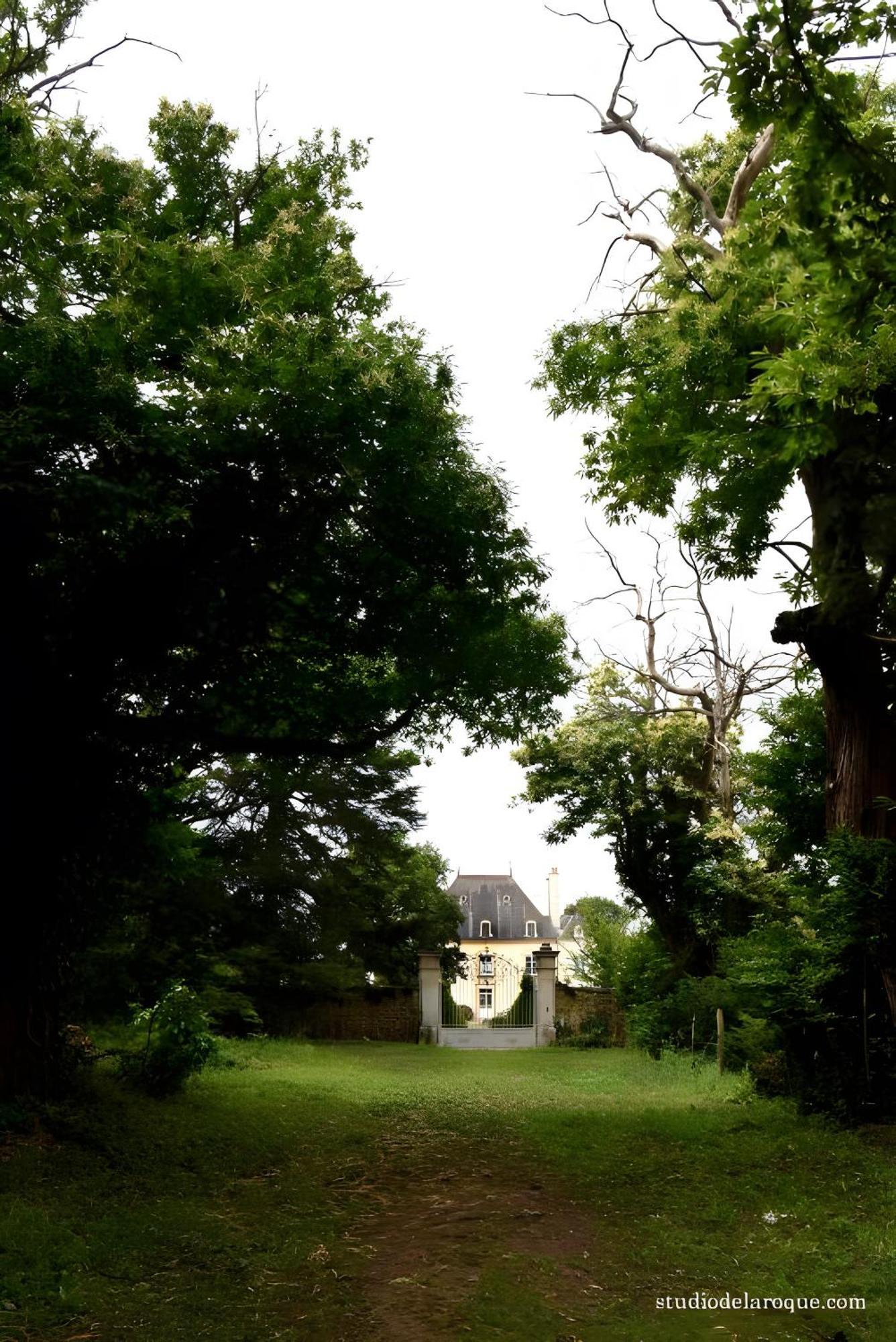 Domaine De La Briouse Bed & Breakfast Sanxay Exterior photo