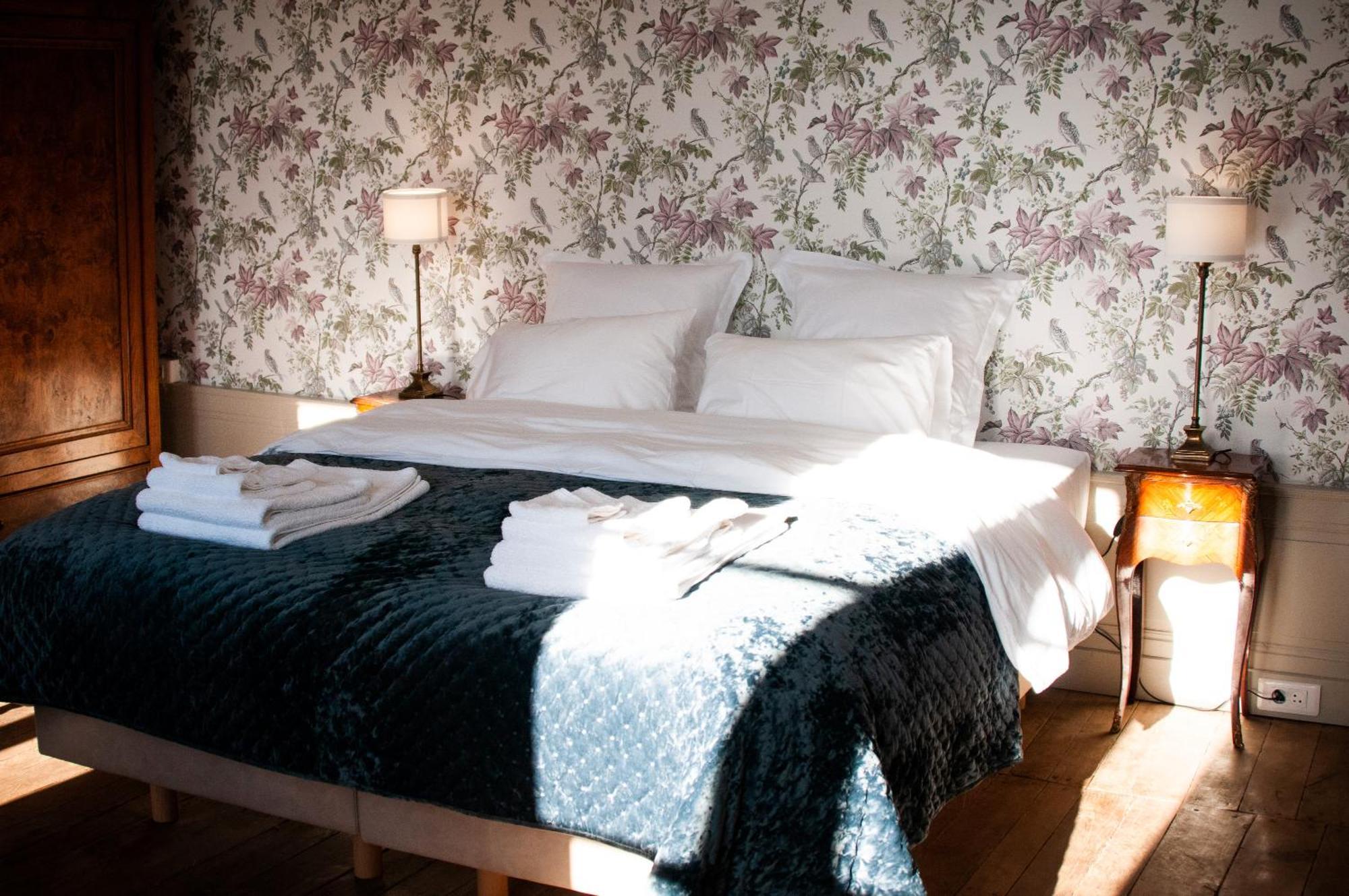 Domaine De La Briouse Bed & Breakfast Sanxay Exterior photo