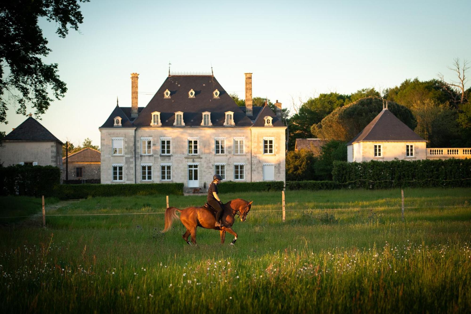 Domaine De La Briouse Bed & Breakfast Sanxay Exterior photo
