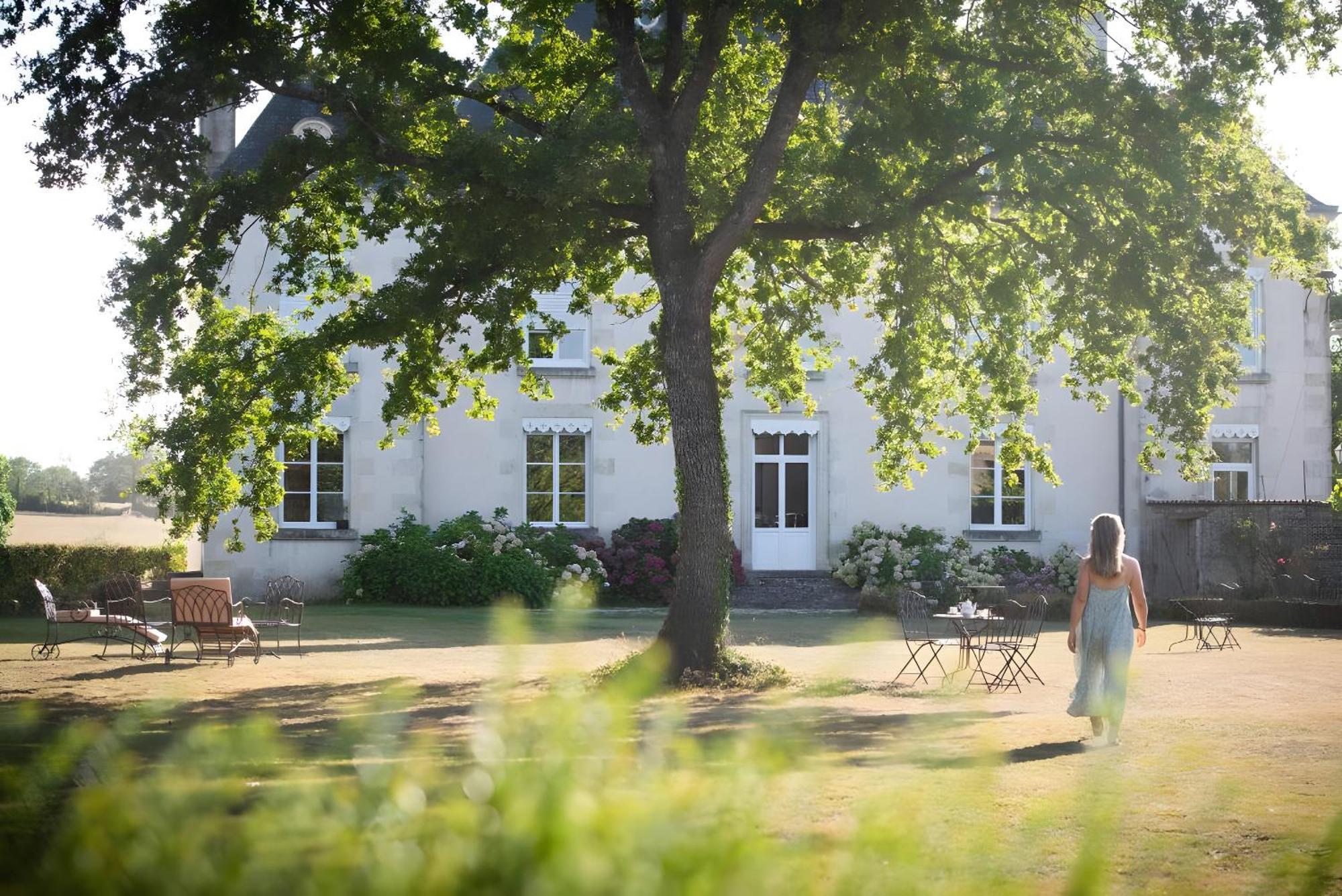 Domaine De La Briouse Bed & Breakfast Sanxay Exterior photo